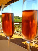 Sekt